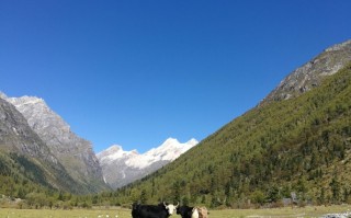 海子游玩攻略，海子游玩攻略大全