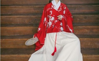 超短上衣冬季汉服穿搭，超短上衣冬季汉服穿搭图片