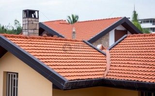 房顶恶搞视频，房顶恶搞视频素材