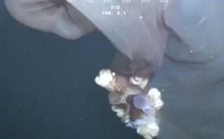 恶搞深海视频，恶搞深海视频大全