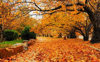 秋天怀柔游玩攻略，秋天怀柔游玩攻略大全