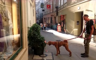 国外搞笑视频恶搞火车站，世界上最搞笑的火车的视频