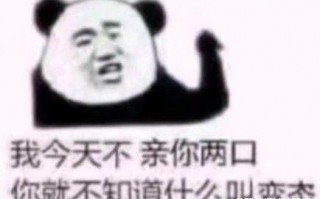 如果遇见文案沙雕，如果遇见文案沙雕句子