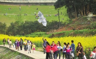 丰宁清明假期游玩攻略，丰宁清明假期游玩攻略图