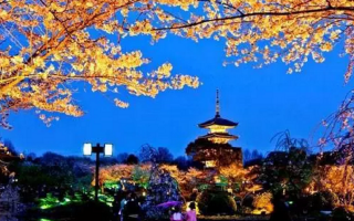 武汉游玩攻略青楼，武汉游玩攻略必去的地方