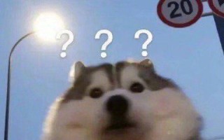 大头照文案沙雕，大头照片文案