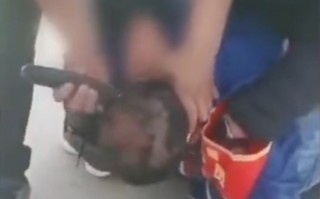 抓坏人恶搞视频，抓坏人恶搞视频大全