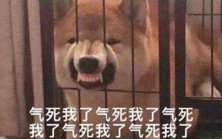 笑到窒息的沙雕短片文案，笑到窒息的沙雕短片文案图片