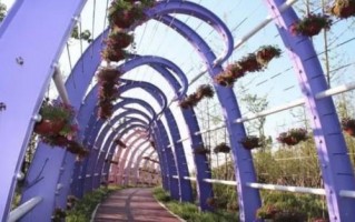 浦江森林公园游玩攻略，浦江森林公园游玩攻略一日游