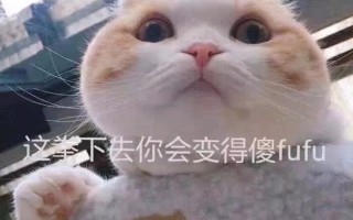 沙雕猫猫文案图片，沙雕猫猫文案图片大全
