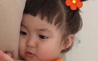 胖胖文案沙雕可爱，胖胖文案沙雕可爱图片