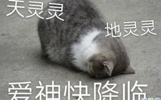 宇宙文案可爱沙雕，宇宙文案可爱沙雕句子