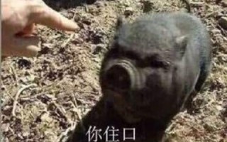 本人很沙雕再见文案，本人很沙雕再见文案怎么写