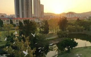 漳州北海游玩攻略，漳州北海游玩攻略一日游