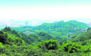 龙泉山，龙泉山风景区