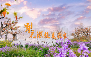 山西高平游玩攻略，山西高平游玩攻略一日游