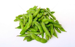 毛豆脱口秀台词集锦，脱口秀豆豆图片大全