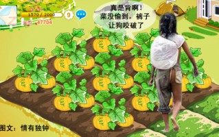 情景短剧搞笑农场视频，情景短剧搞笑农场视频播放