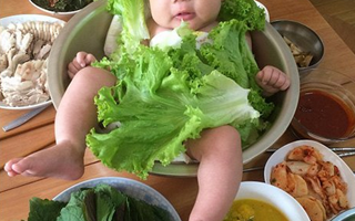 夫妻恶搞白菜视频，夫妻恶搞白菜视频大全