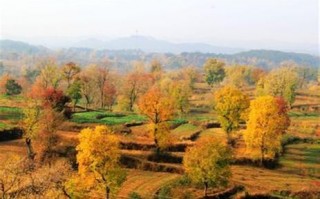 湖北秋天游玩攻略，湖北秋天游玩攻略大全