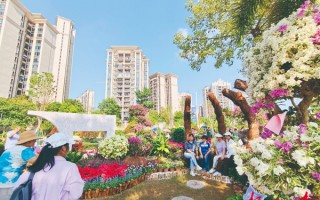 梧州游玩攻略簪花，梧州游玩攻略及路线