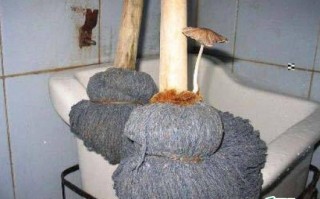 恶搞拖把视频，恶搞拖把视频大全