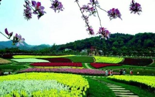 竹林露营游玩攻略，竹林露营游玩攻略大全